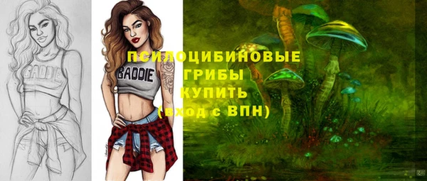mdpv Вязники