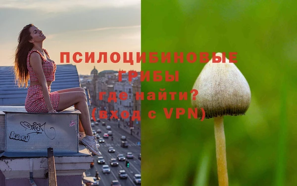 марки nbome Вяземский