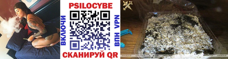 купить наркотик Дальнегорск Галлюциногенные грибы GOLDEN TEACHER