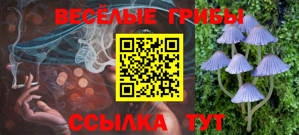 Дальнегорск  Псилоцибиновые грибы Cubensis  Галлюциногенные грибы Psilocybe  Вход с VPN 